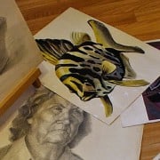 Deyana Deco Artworks