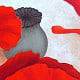 Poppies II Featured