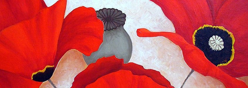 Poppies II Featured